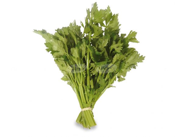 APIO CHICO