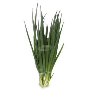 CEBOLLITA VERDEO MAZO