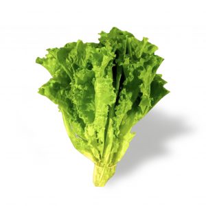 LECHUGA MAZO