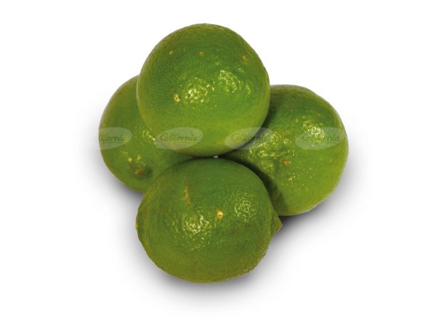 LIMON JAPONES