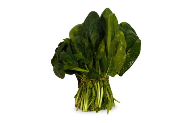 ESPINACA MAZO