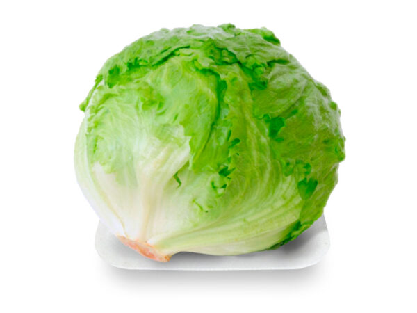 LECHUGA REPOLLADA kg.