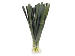 203005000000 PUERRO kg.