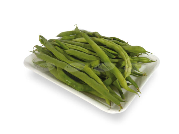 CHAUCHA CORTA REDONDA kg.