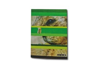 CUADERNO AMERICA T/F RAY.48h.