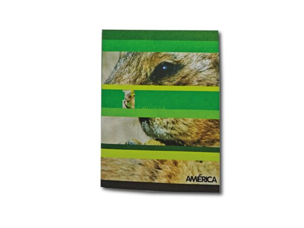 CUADERNO AMERICA T/F RAY.48h.