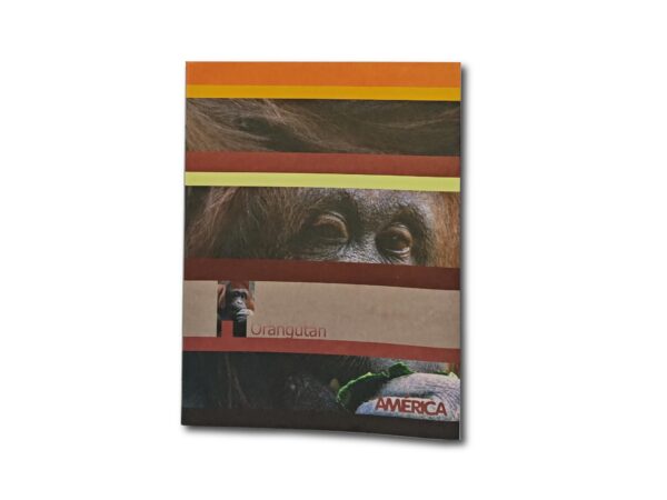 CUADERNO AMERICA T/F LISO 48h.