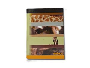 CUADERNO AMERICA T/C RAY.42h.