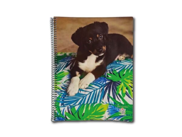 CUADERNO MIS APUNTES AMIGO A CASA CUAD.80h.