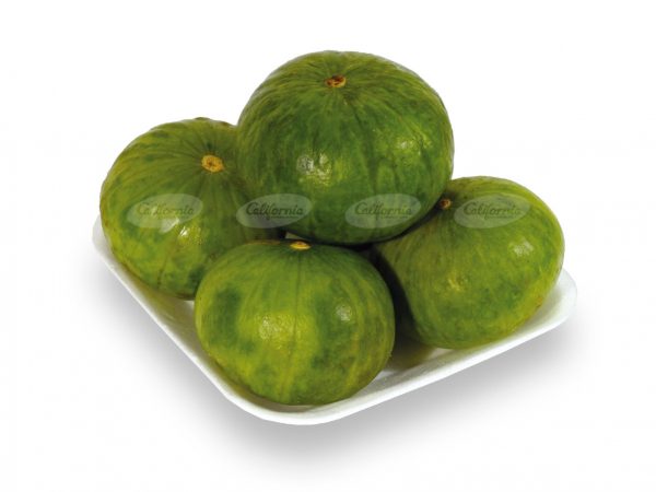 ZAPALLITO TRONCO kg.