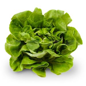LECHUGA MANTECOSA kg.
