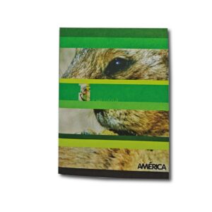 CUADERNO AMERICA T/F RAY.48h.