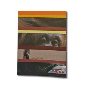 CUADERNO AMERICA T/F LISO 48h.
