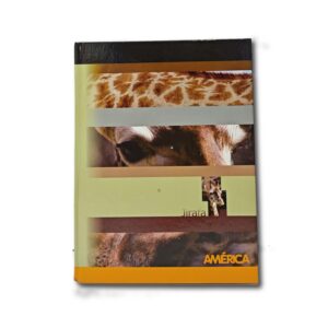 CUADERNO AMERICA T/C RAY.42h.