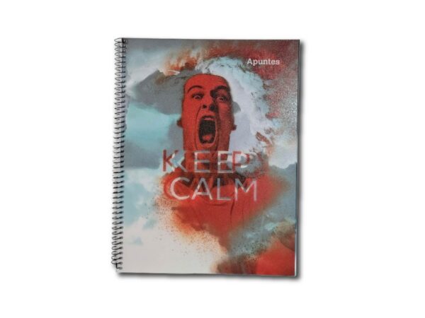 CUADERNO MIS APUNTES ILUSION 29.7 RAY.80h.