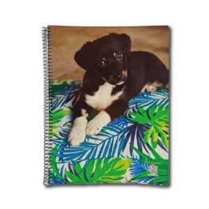 CUADERNO MIS APUNTES AMIGO A CASA CUAD.80h.