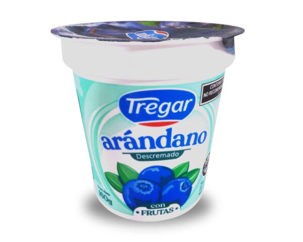 YOGUR TREGAR DESC.C/FRUTAS ARAND.160gr.